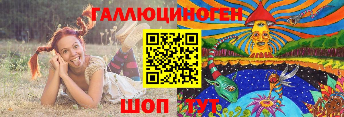 Галлюциногенные грибы MAGIC MUSHROOMS  Вход с VPN  Вышний Волочёк  Псилоцибиновые грибы Magic Shrooms 